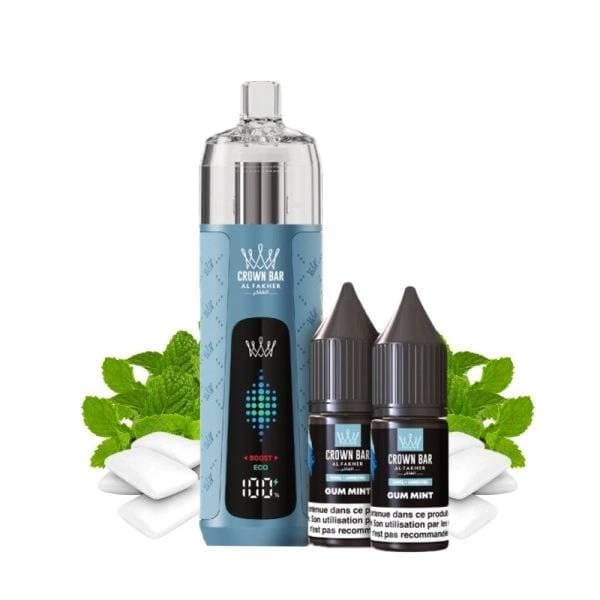 Gum Mint (Bubble gum menthe)