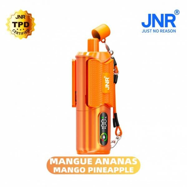 Mango Pineapple (Mangue, Ananas)