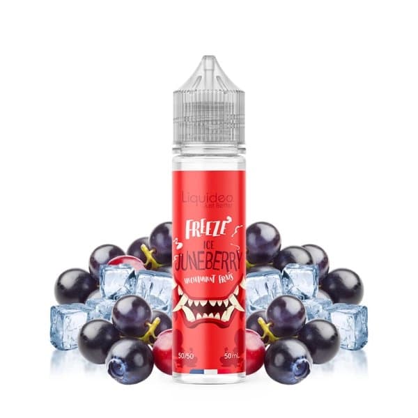 Freeze Ice Juneberry 50ML - Liquideo - GFC