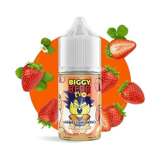 Concentré Mix de Fraises Acidulées - Biggy Bear EVO