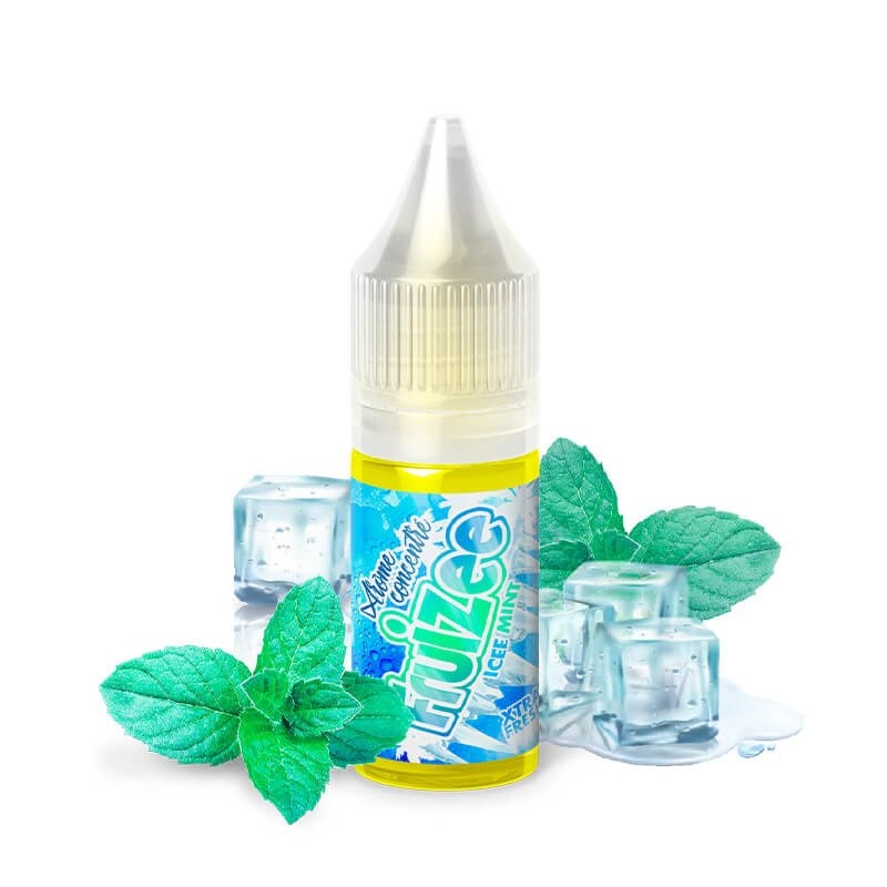 Ice Mint 10ML de Fruizee