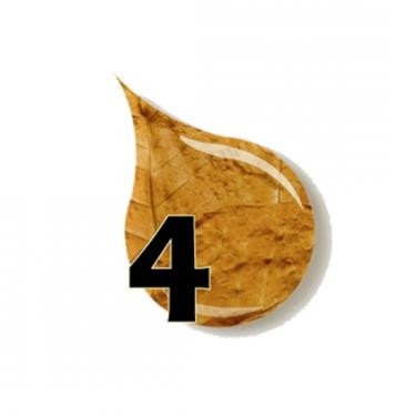 Concentré 4 10ML (Pack 2) de E-Saveur