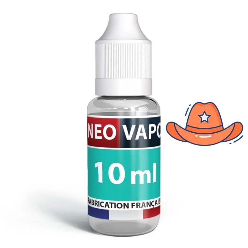 Usa Classic (Sel nicotine) 10ML de Le French Liquide