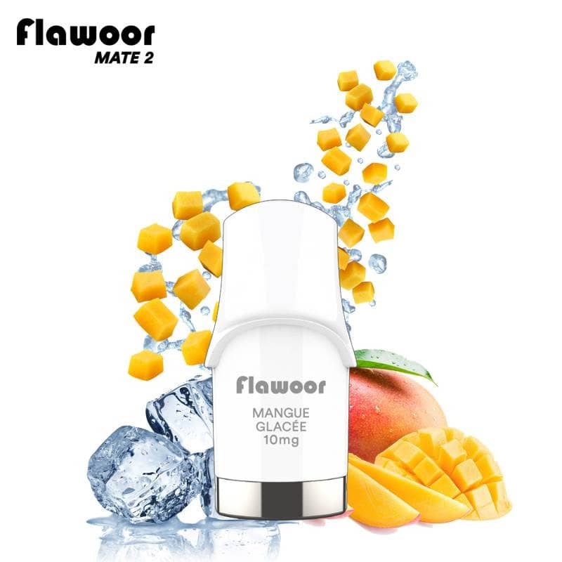 Cartouche Mangue Glacée (par 2) - Flawoor Mate 2