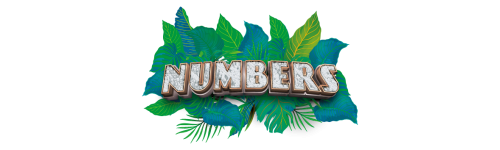 Bannière Numbers